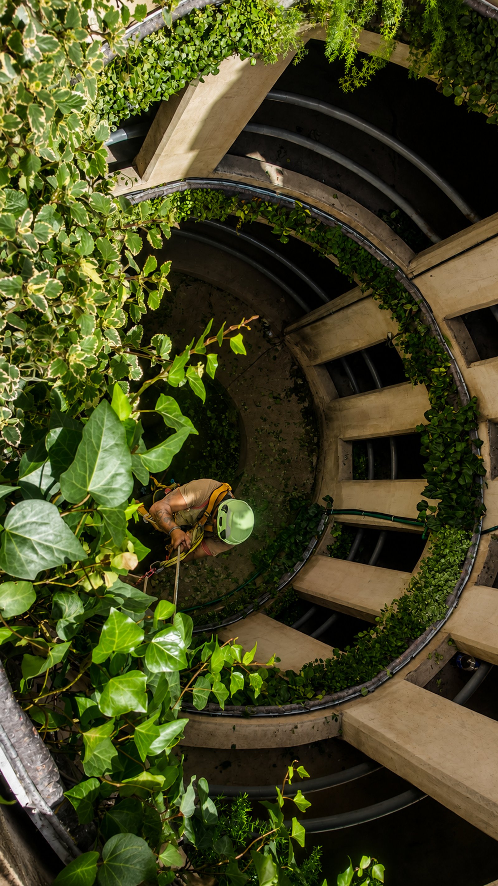 Escada espiral brutalista com vegetação exuberante — projeto Parking Oulton :: Córdoba :: Jardín Vertical :: Diseño y construcción STIPA Arte, por STIPA Arte Natural, em Av. Vélez 